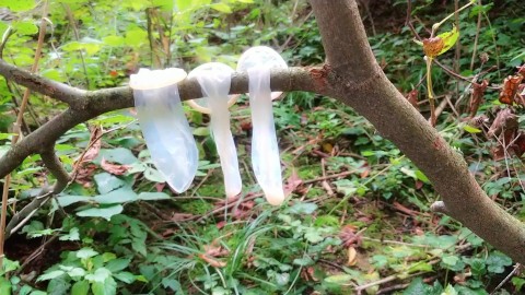 屋外で見つかった3つの使用されたコンドームからの精液を飲み込む